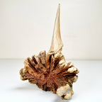 Handmade Greenman Parasite Ornament 15cm