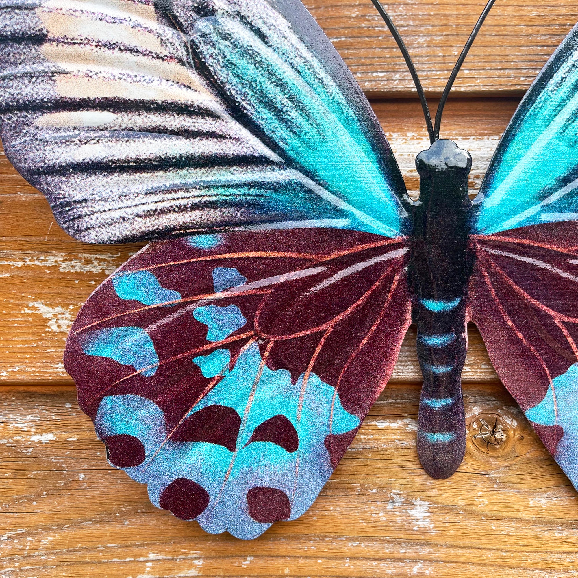 Teal Butterfly Wall Art