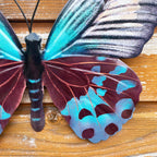 Teal Butterfly Wall Art