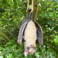 Hanging Bat Garden Ornament