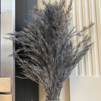 Blaue getrocknete Pampas in Keramikvase