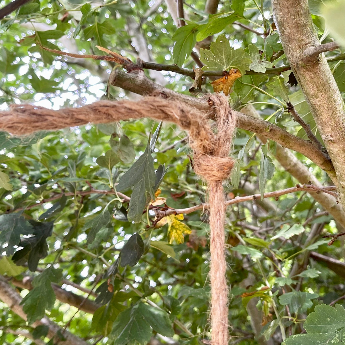 Hängender Zwerg-Gartenschmuck C