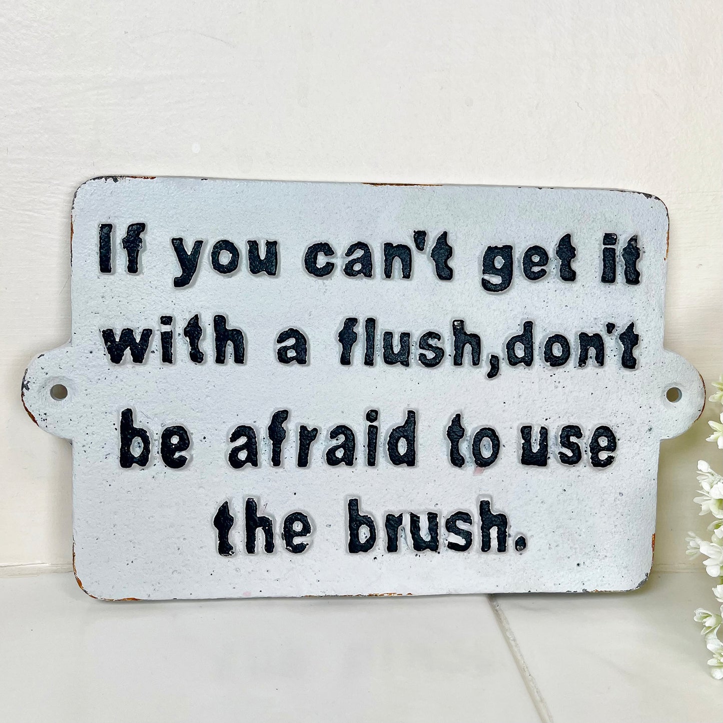 Badezimmerschild „Use The Brush“ aus Gusseisen