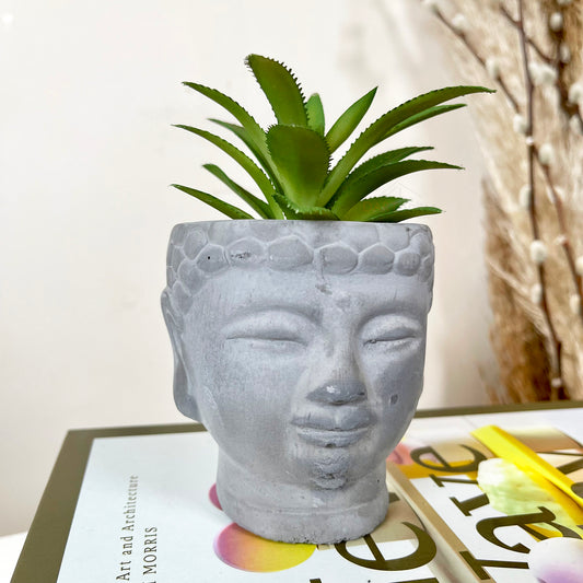 Cement Buddha Head Succulent