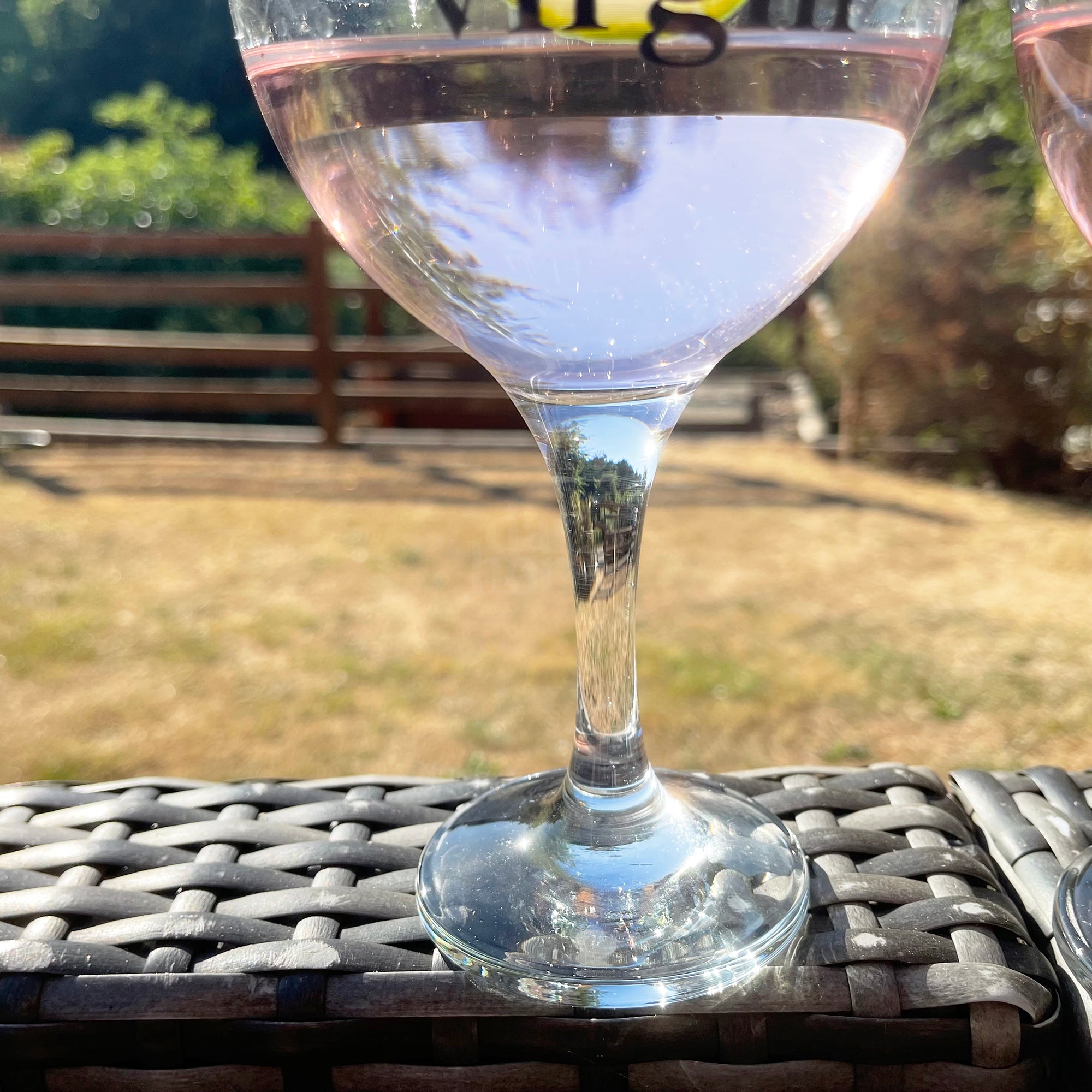 Set Of 2 Novelty Balloon Gin Glasses