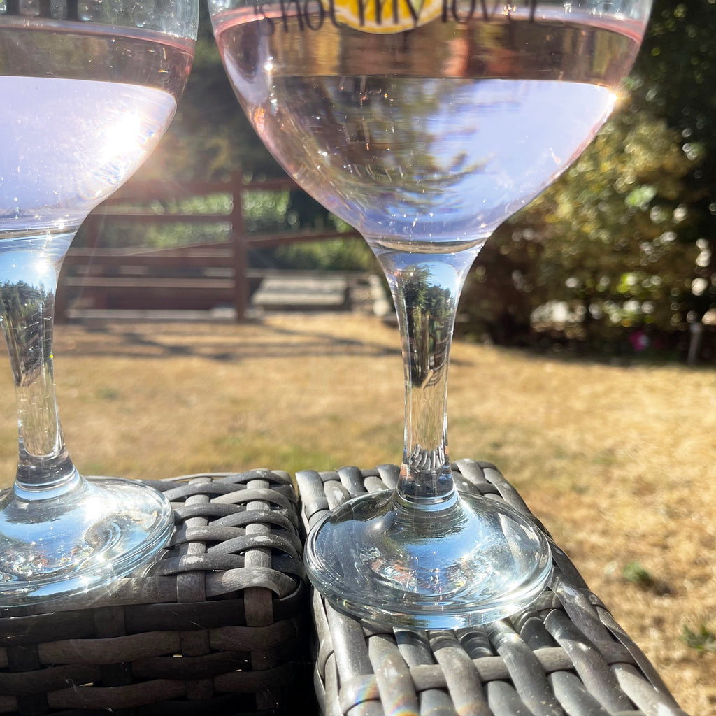 Set Of 2 Novelty Balloon Gin Glasses
