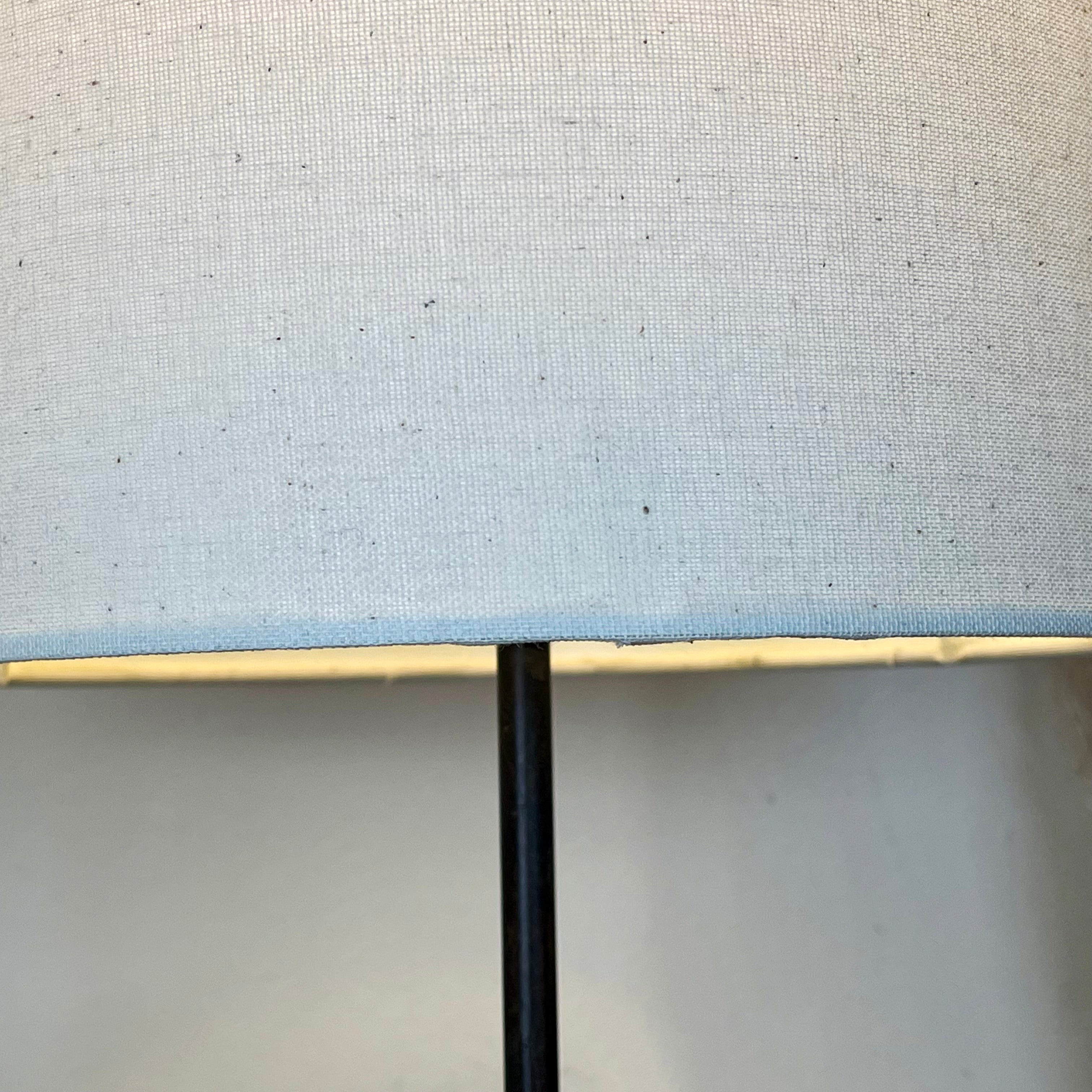 Black Bear Family Lamp