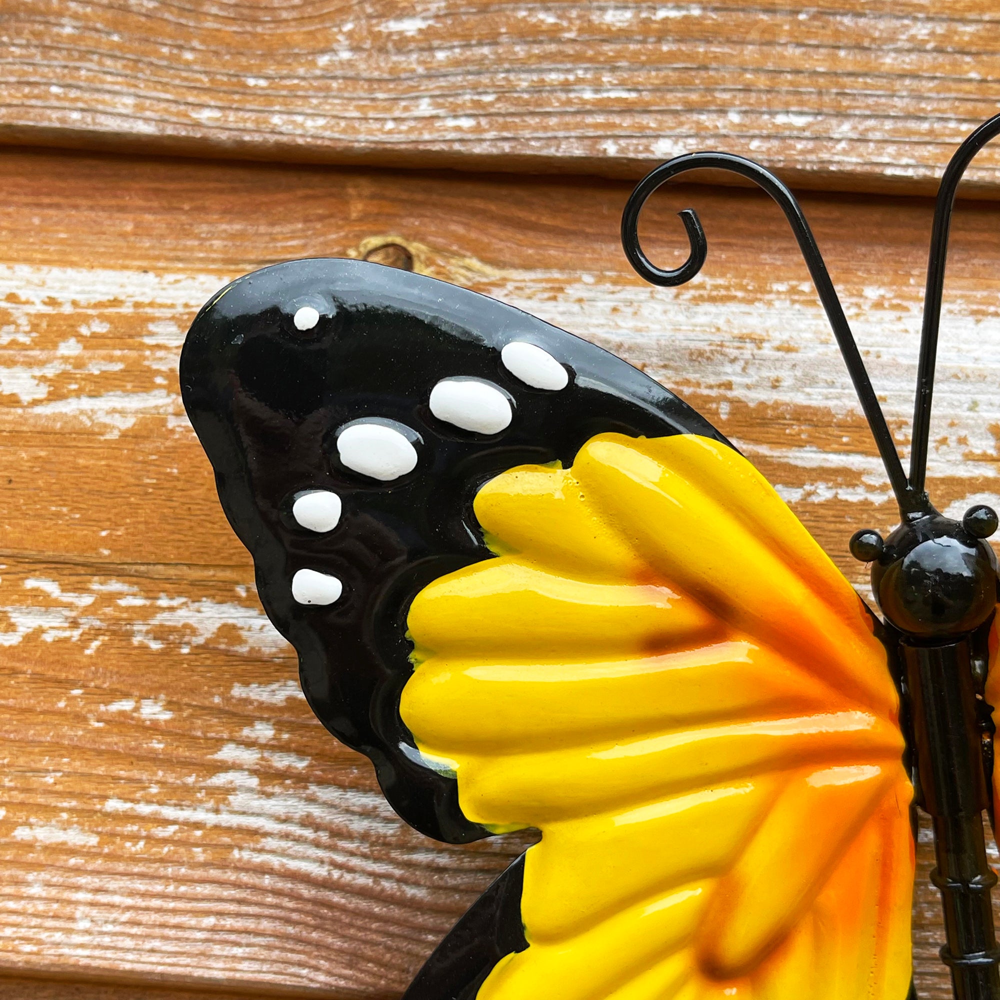 Oranger Schmetterling Wandkunst klein