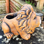 Cement Lion Planter