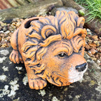 Cement Lion Planter
