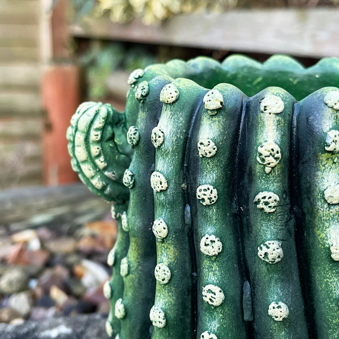 Kleiner Kaktus-Übertopf aus Zement
