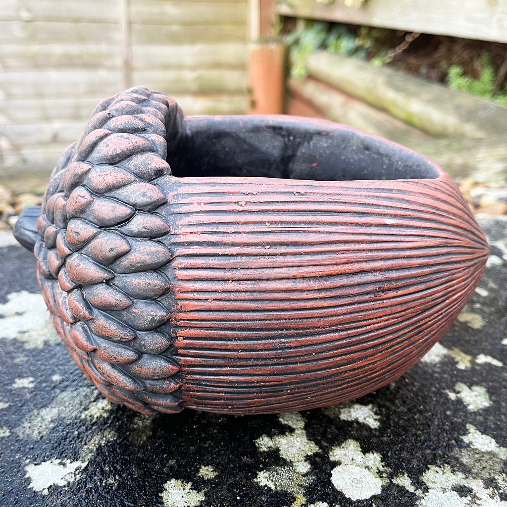 Cement Acorn Planter
