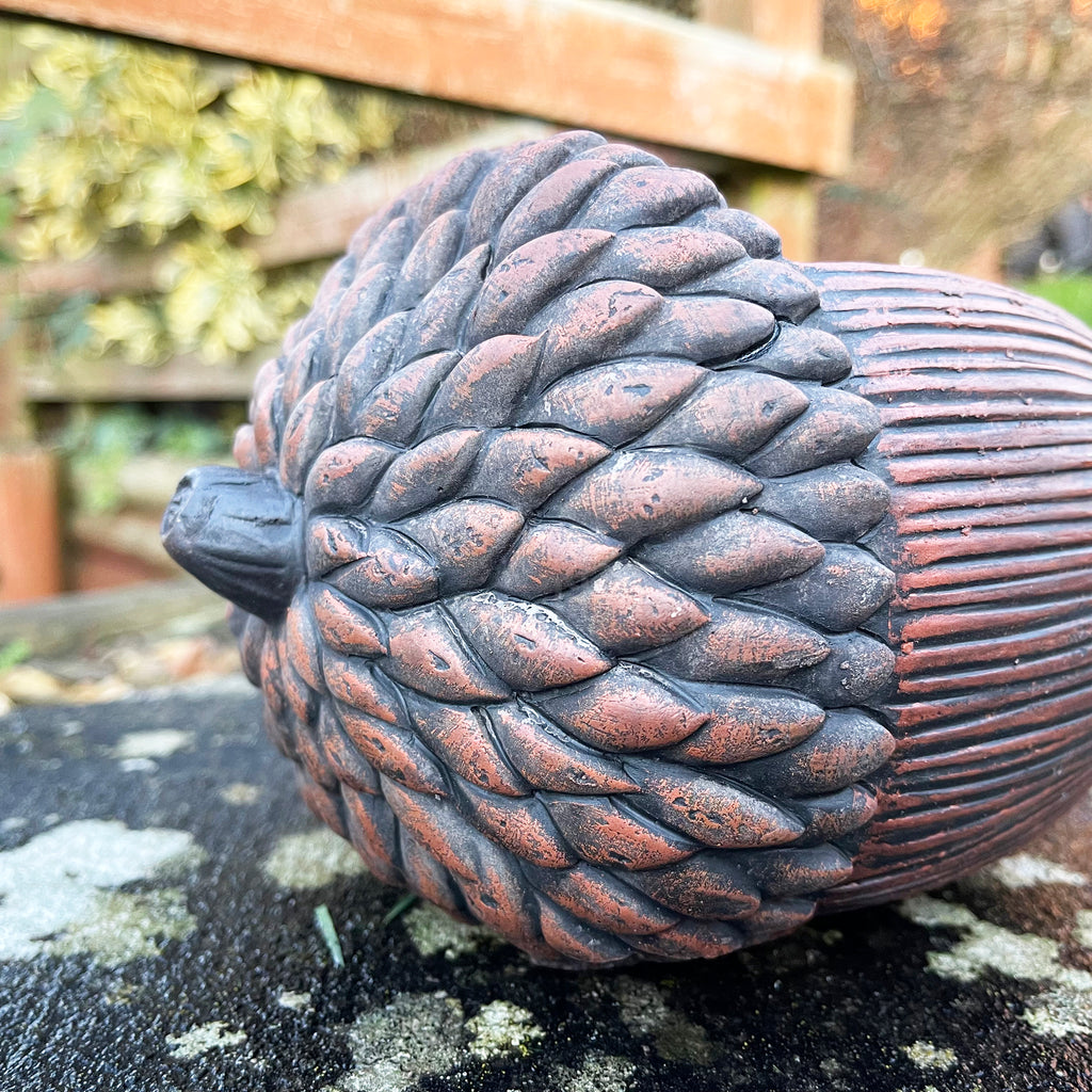 Cement Acorn Planter