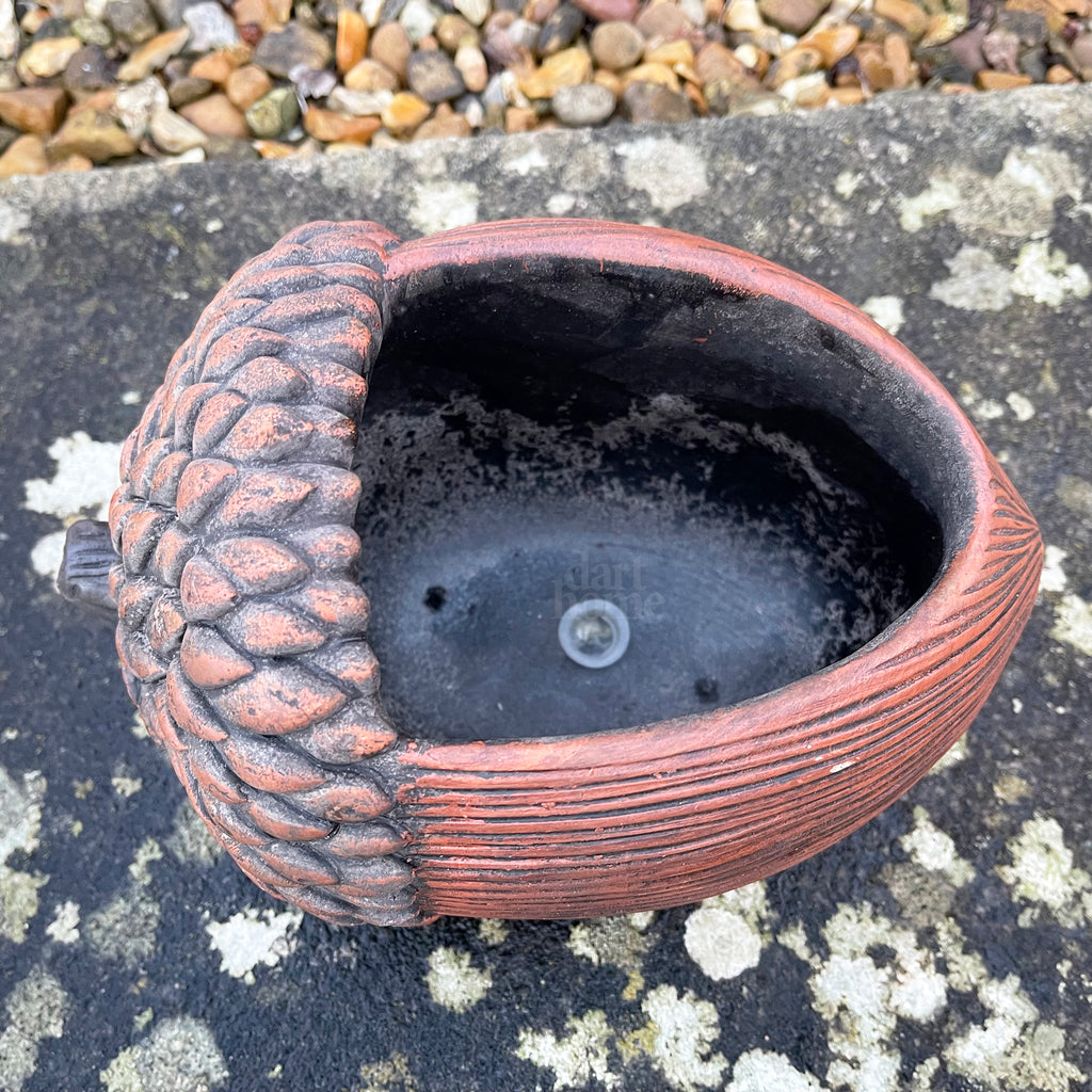 Cement Acorn Planter