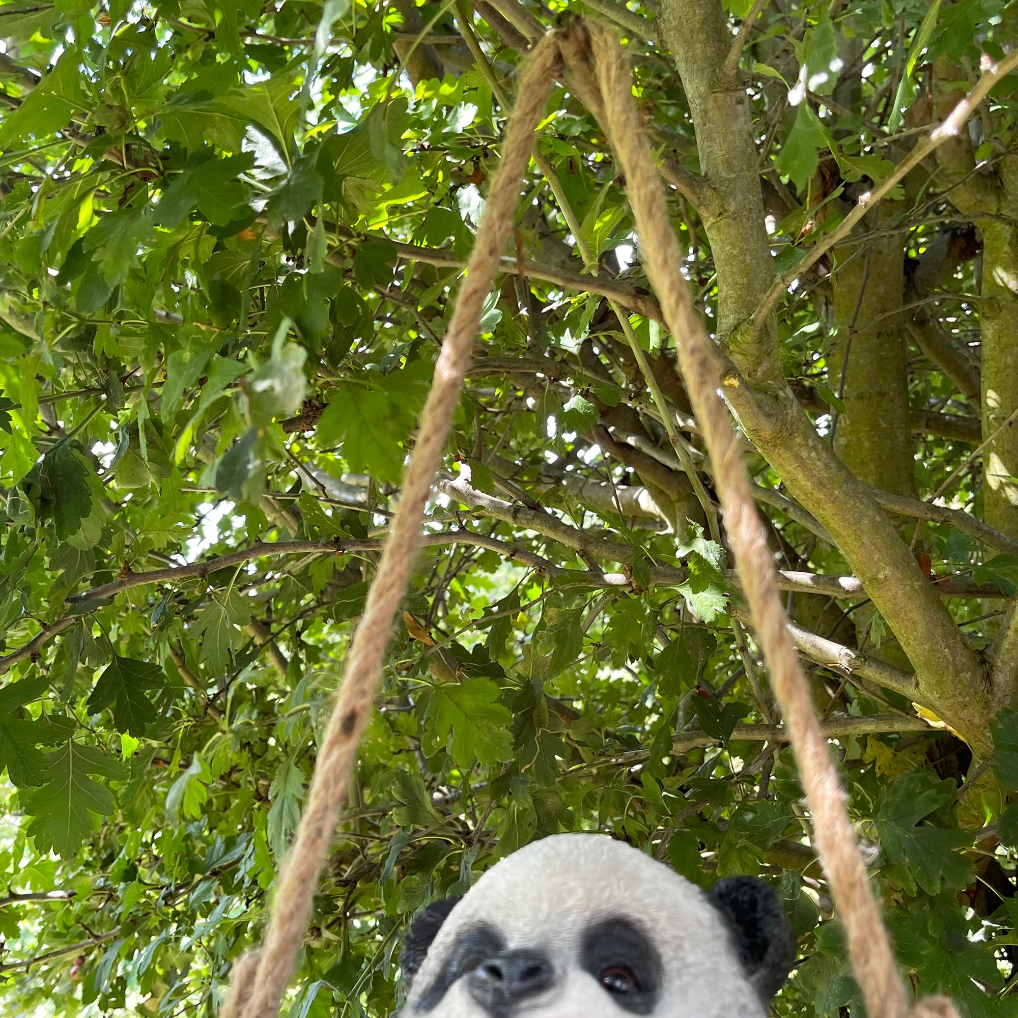 Swinging Panda Garden Ornament 22cm