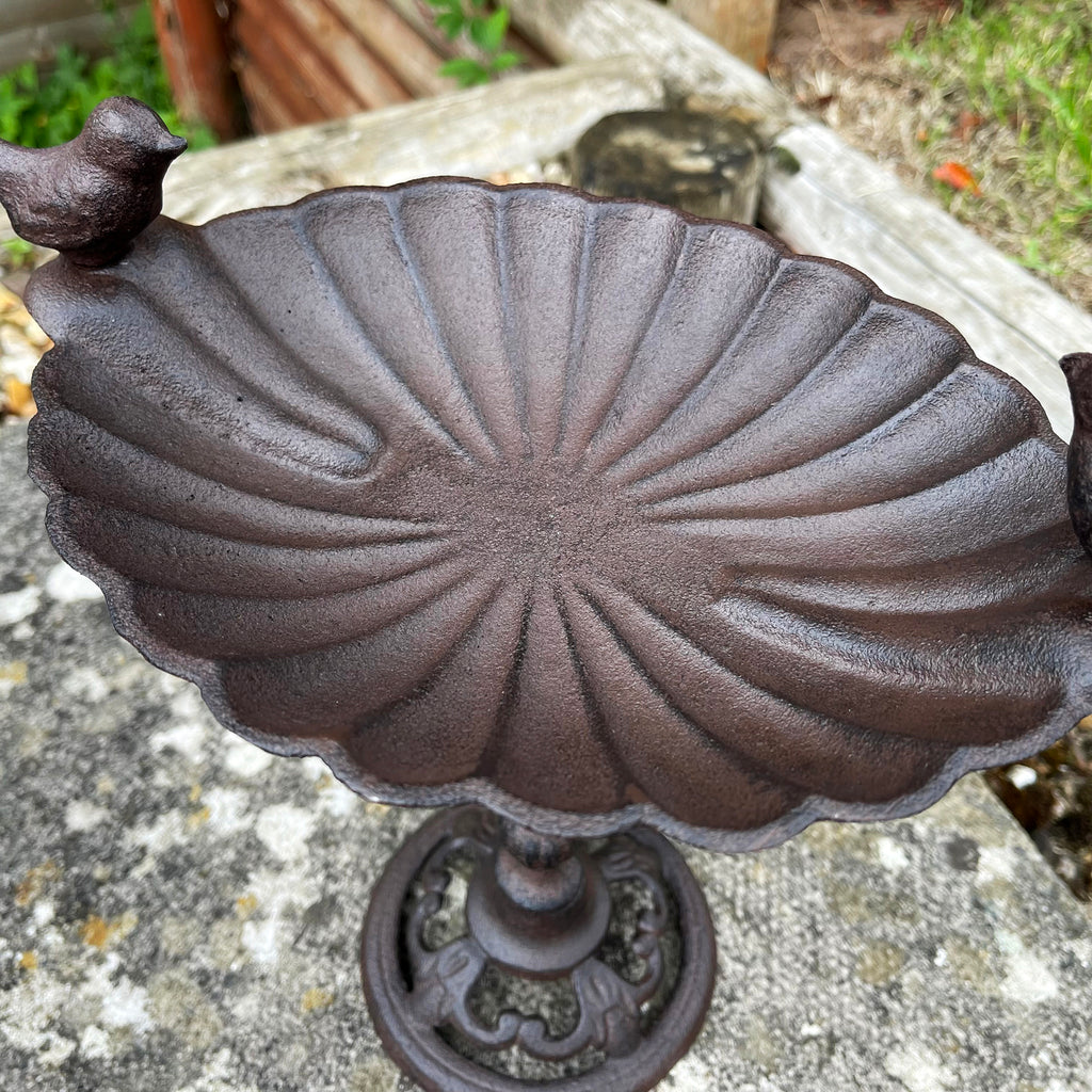 Tall Oval Cast Iron Bird Bath 29cm