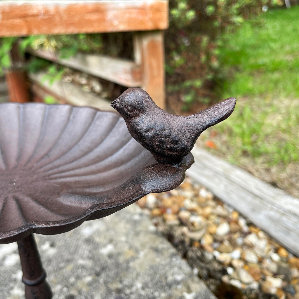 Tall Oval Cast Iron Bird Bath 29cm