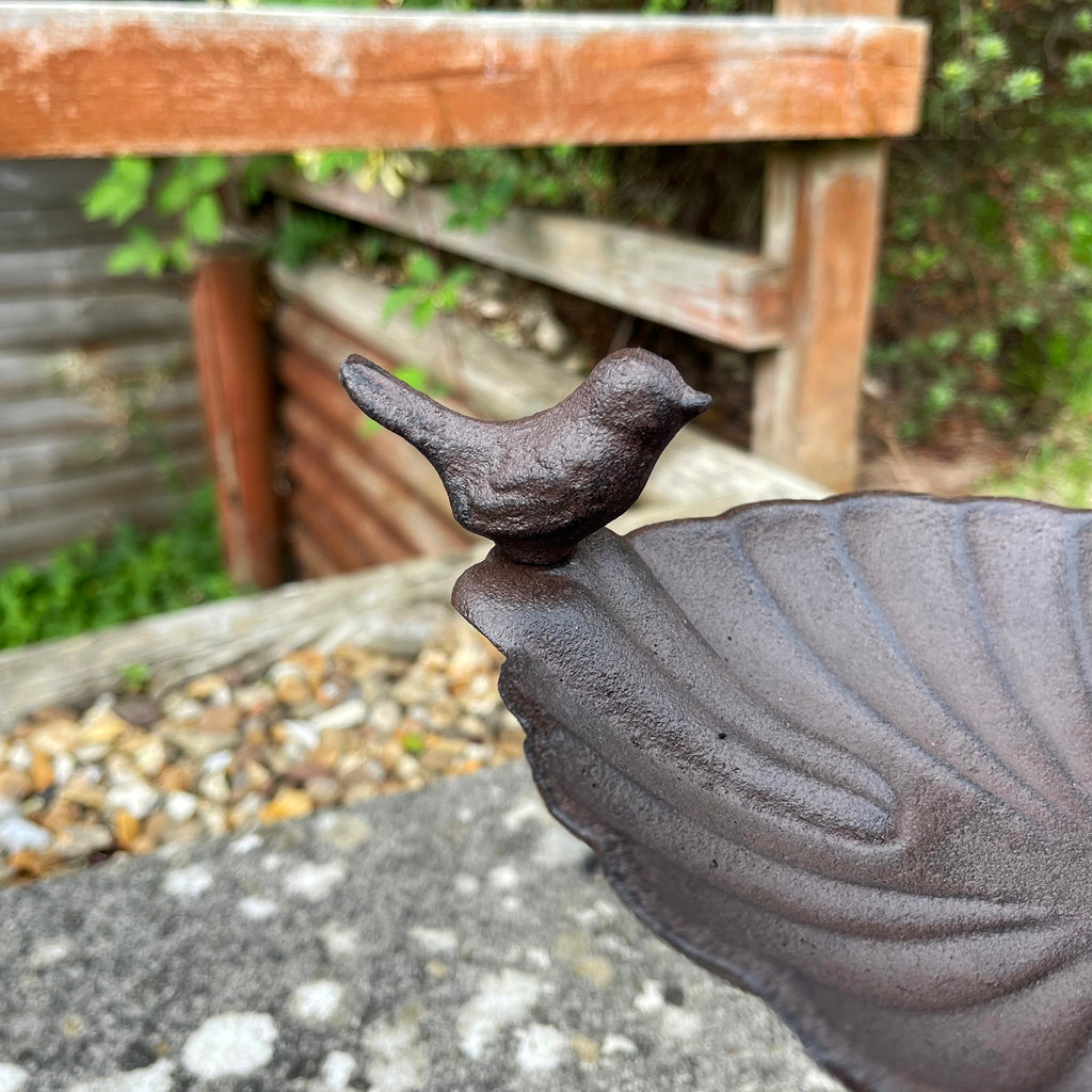 Tall Oval Cast Iron Bird Bath 29cm
