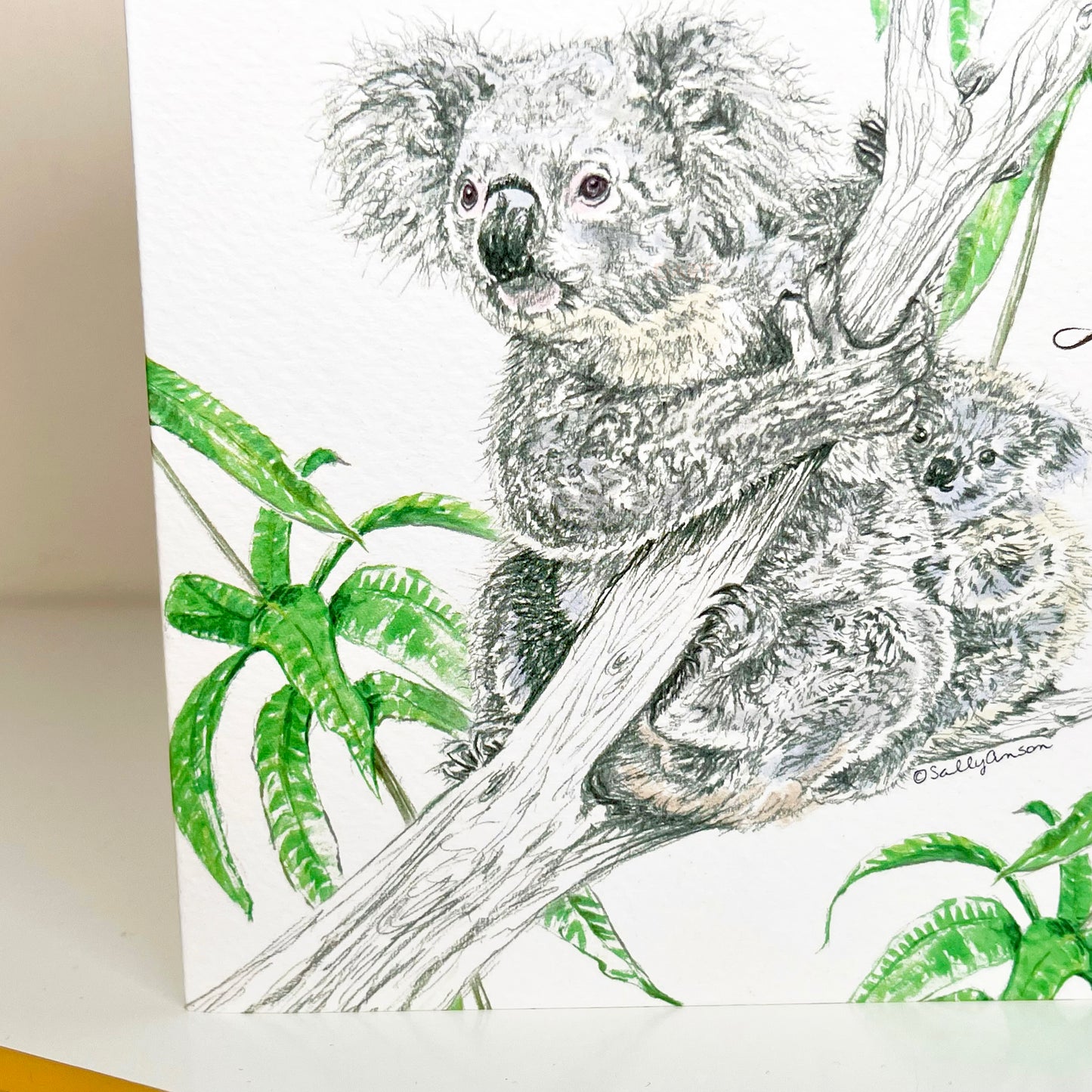 Handmade Birthday Hugs Just For You Koala Birthday Card