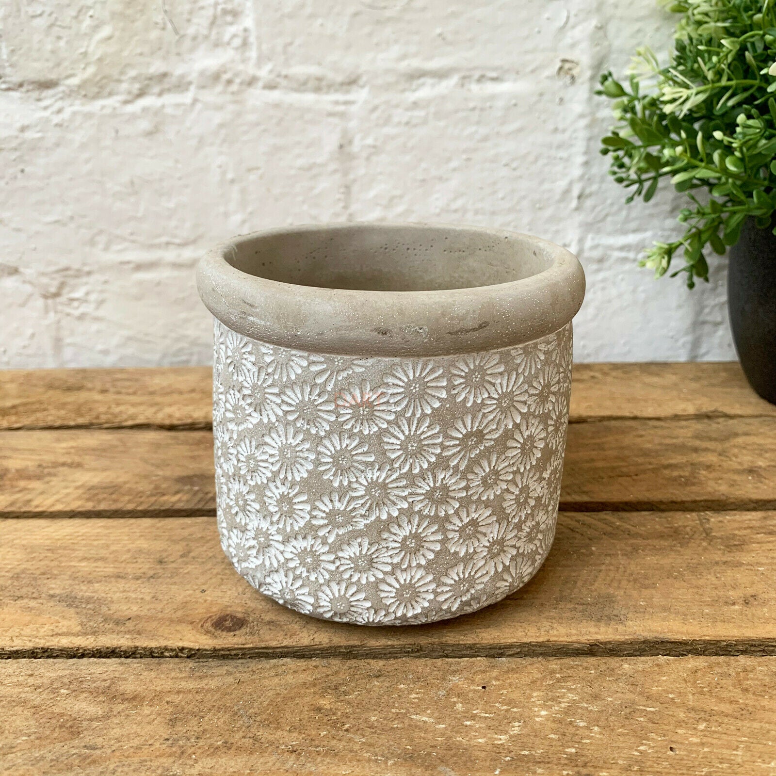 Daisies Cement Plant Pot Holder