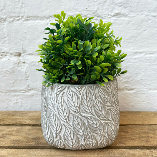 Square Cement Embossed Leaf Pot